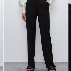 Aritzia BABATON pleated dress pants
